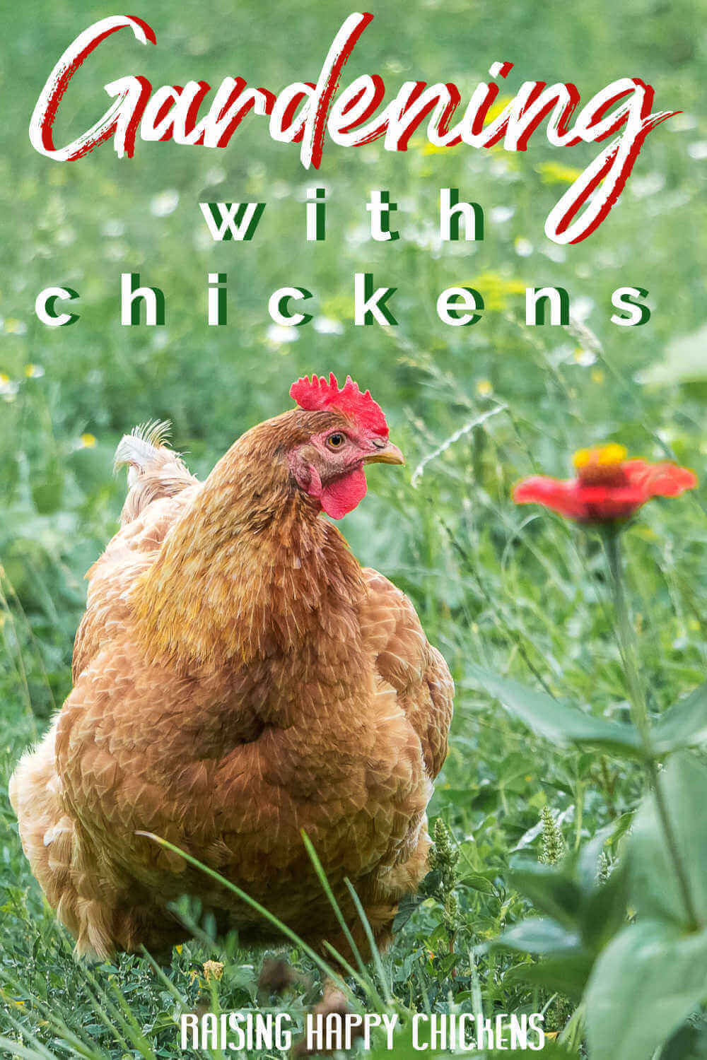 Chickens and gardening articles – pin for later.