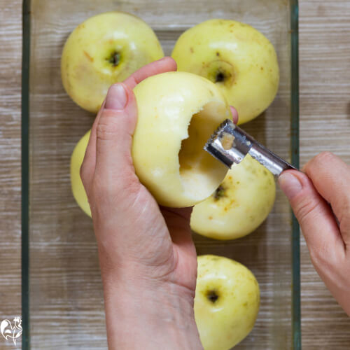 Can chickens eat apples? Here's what research says.