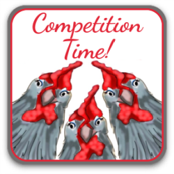 Link to all my competitions – previous winners and current entries.