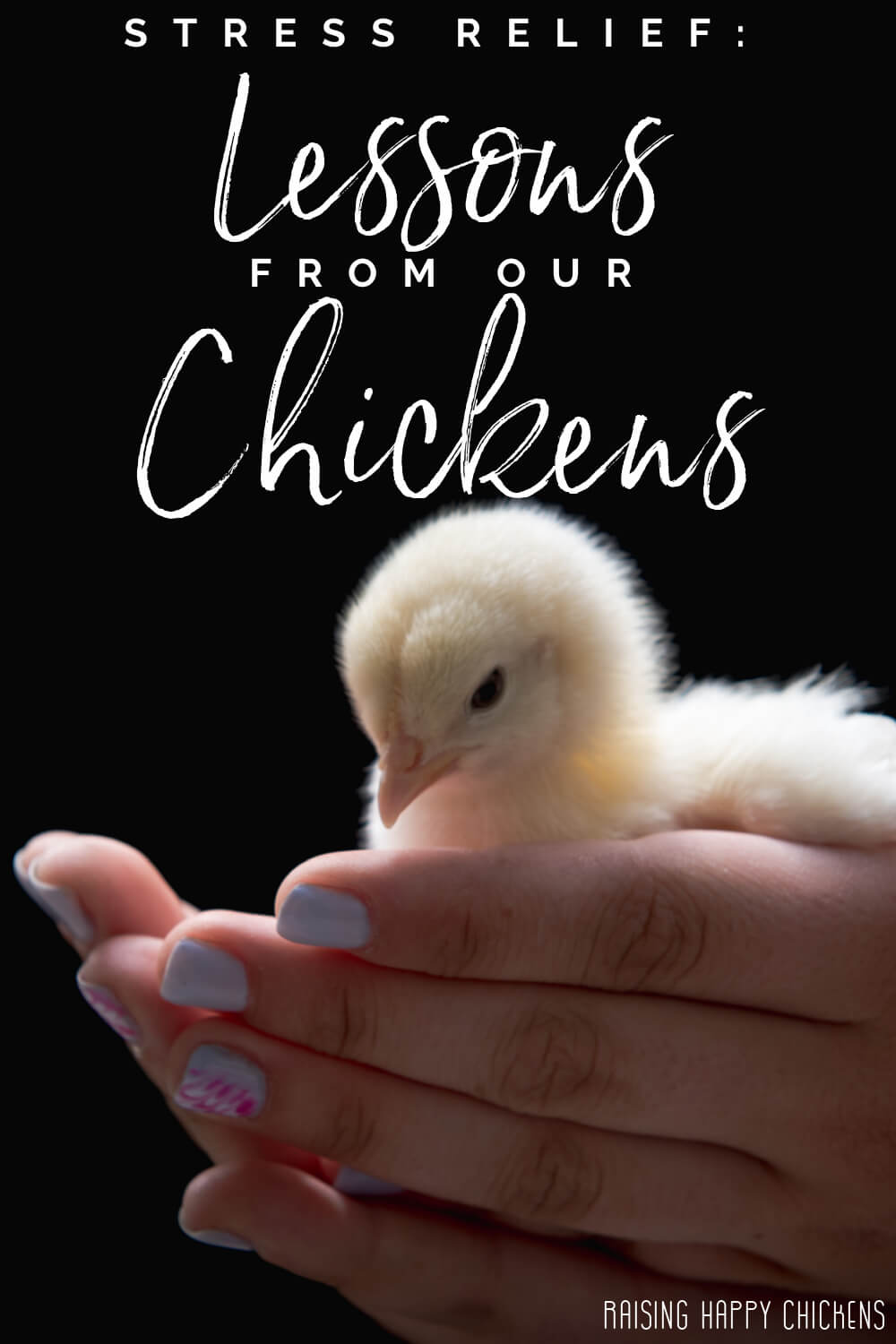 What can our chickens teach us about stress relief? Pin for later.