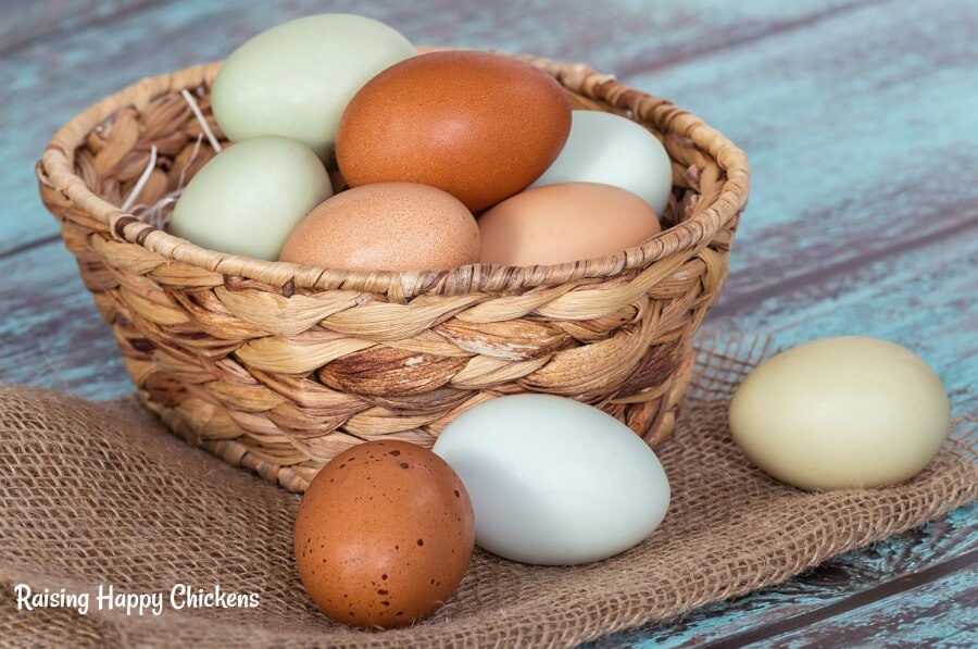 Chicken egg moving but not hatching