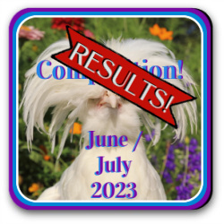 Thumbnail competition results, summer 2023.