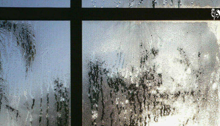 Condensation on a window in winter.