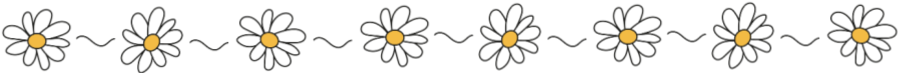 Daisies! Daisy divider, full width.