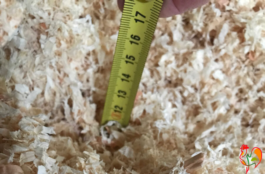 Deep litter in the chicken coop pros, cons and 4 steps to its use.