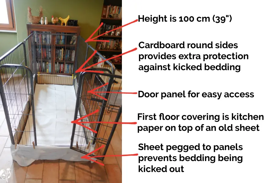 My puppy pen DIY brooder preparation: an old sheet underneath to keep in bedding; kitchen paper as initial flooring.