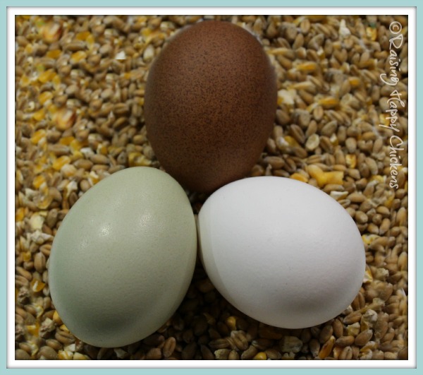  Tre uova di gallina colorate