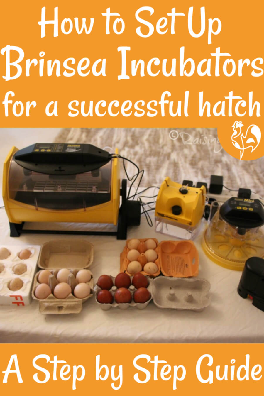 Brinsea Chicktec Glass Incubator Thermometer Incubator Hatching Eggs Poultry Brinsea 