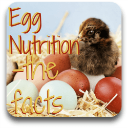 Egg nutrition - the facts - link.