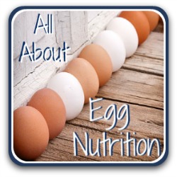 All you need to know about the nutritional value of eggs - link.