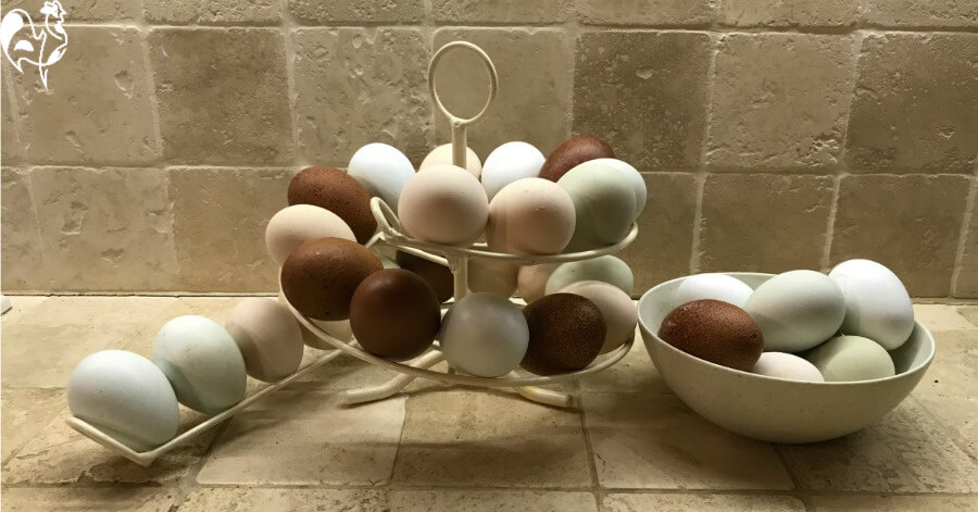 Egg storage solution - Egg Skelter