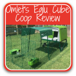 Eglu Cube coop review – click to see article.