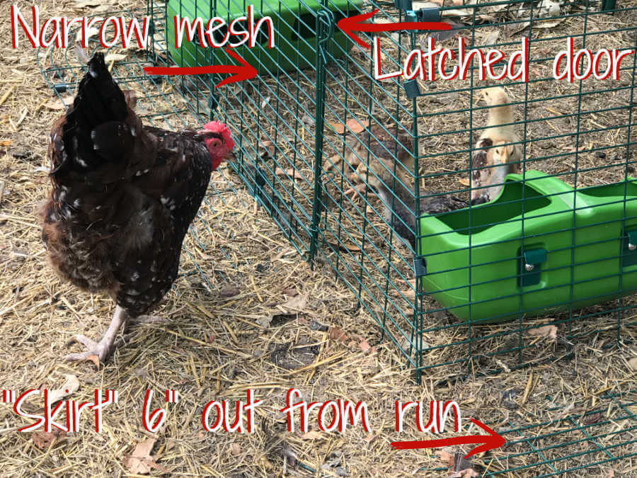 Omlet Chicken Fencing, Poultry Netting for Chickens