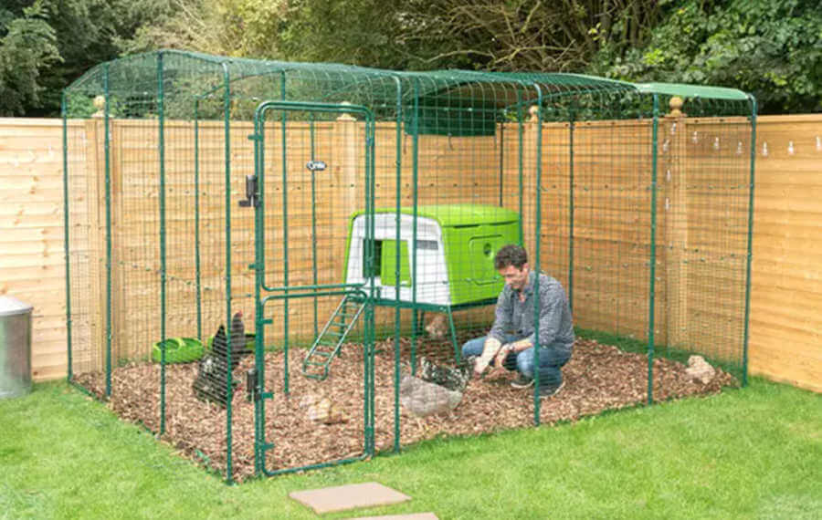 Omlet's Eglu chicken coop is it worth the money? A review.