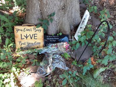 Elizabeth-Renee's Grave