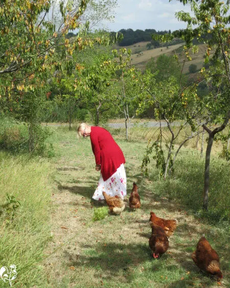 Cath walking in the fields of Italy followed by four of her hens.