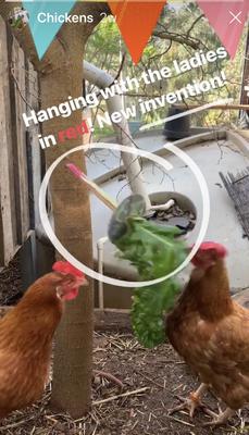 Agatha, Betty and Gilda