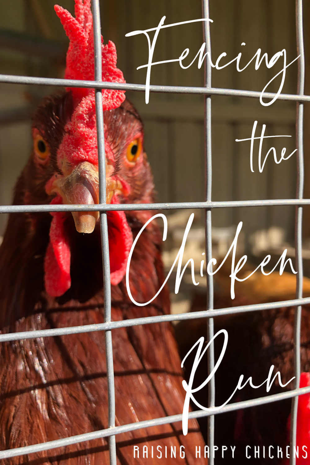 Fencing a chicken run what's best and how should it be built?
