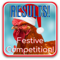 Thumbnail festive Christmas photo competition results.