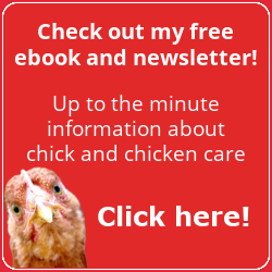 Newsletter landing page thumbnail link