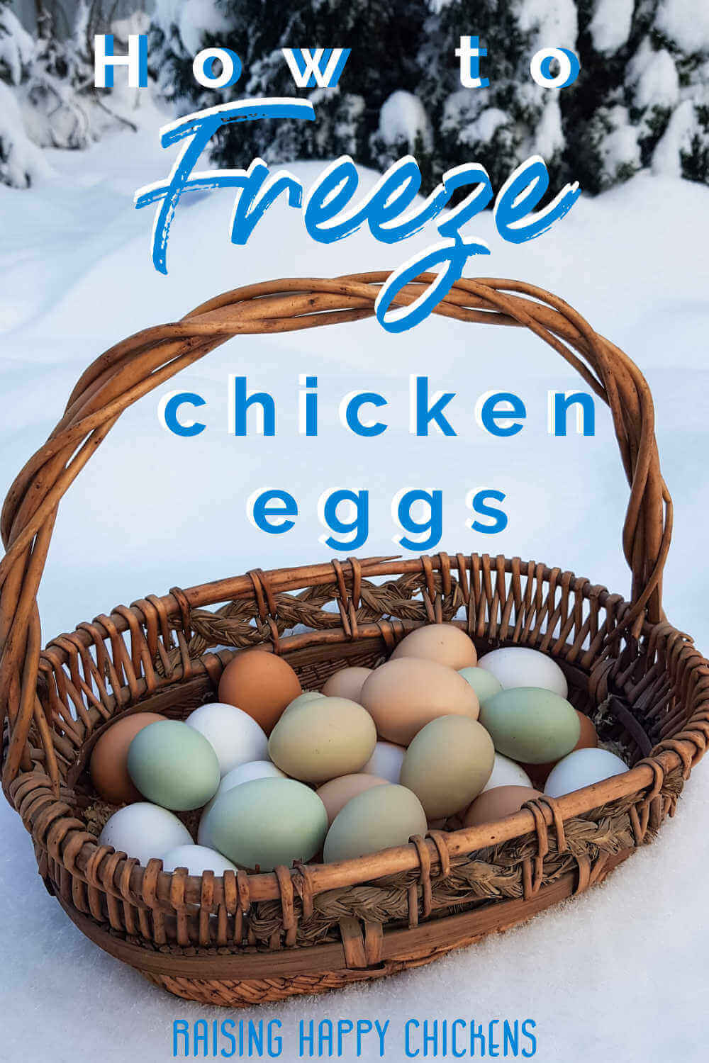 How to freeze chicken eggs – pin for later.