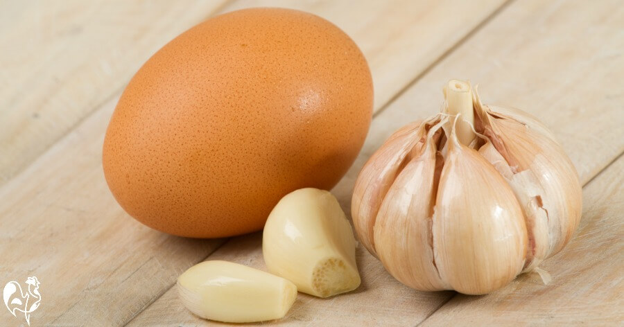 Garlic cloves and a whole bulb with a large egg.