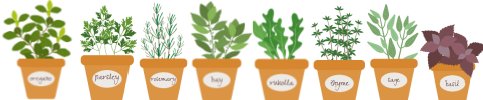 Herbs in pots! Divider: a selection of herbs in pots, half width