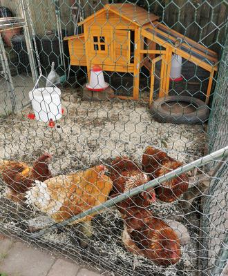 Honey with her girlfriends