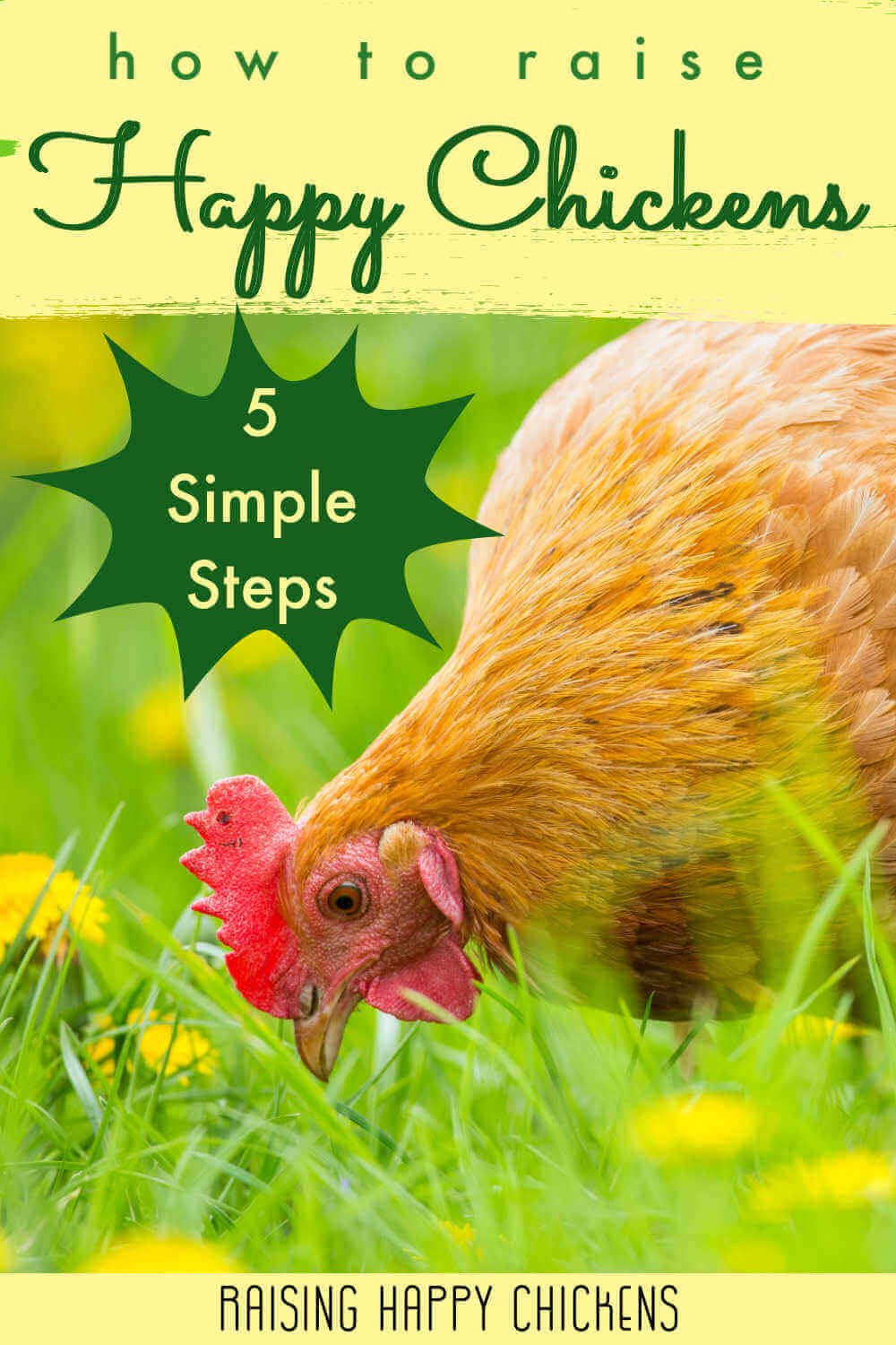 How to raise happy chickens – 5 simple steps. Pin for later.