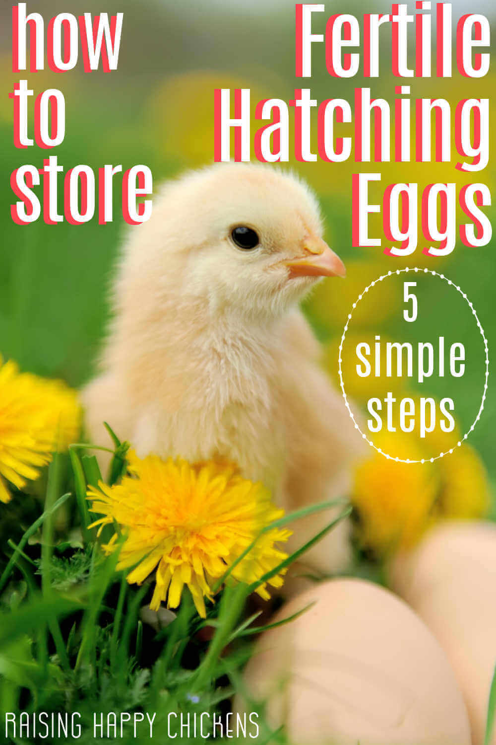 Like a clutch of eggs, break one egg and you break all