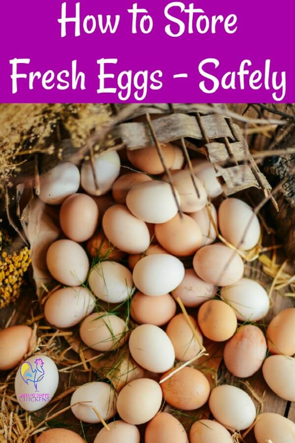 https://www.raising-happy-chickens.com/images/how-to-store-fresh-eggs.jpg