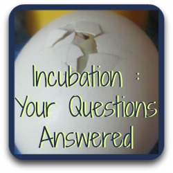 Incubating eggs - faqs - link.