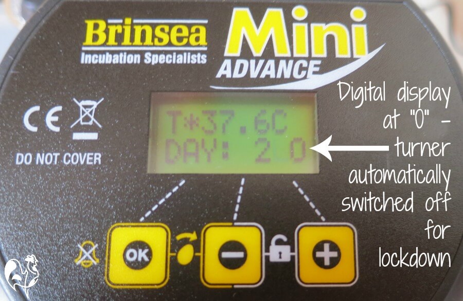 Settings at the point of 'lockdown' when the automatic turner stops.