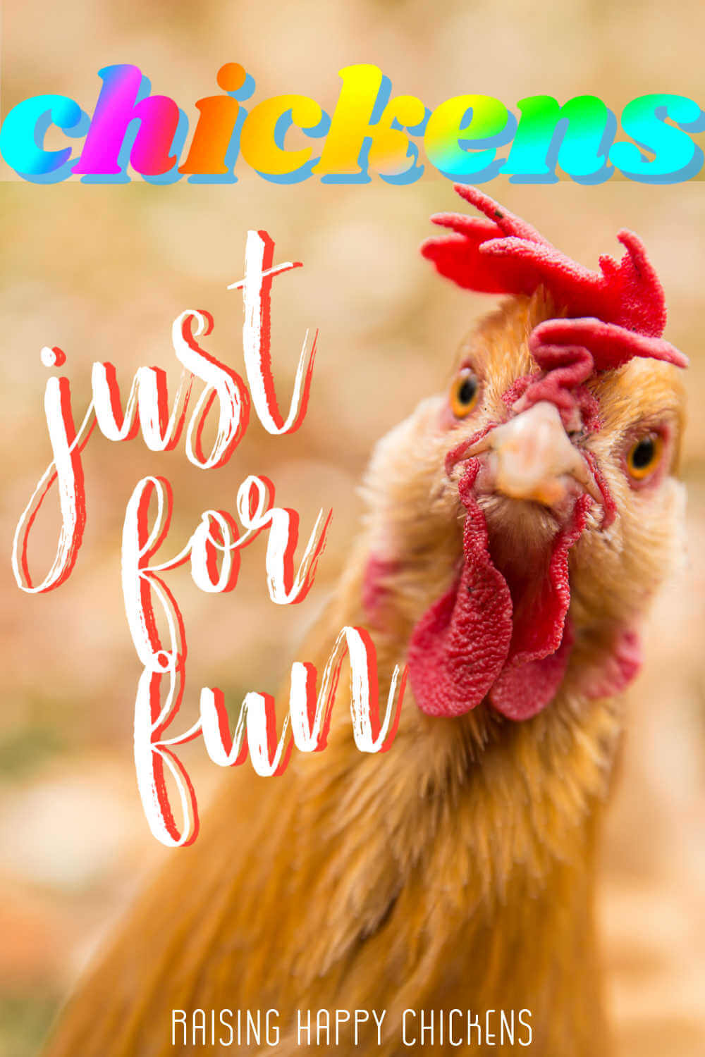 Just for fun: articles about the fun aspects of raising backyard chickens. Pin for later.