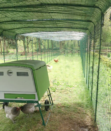 Omlet runs: the large walk in run extended to 18 metres.