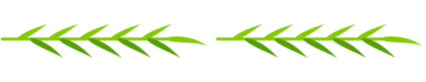 Green leaf divider.
