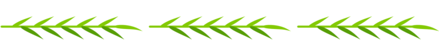 Divider: green leaves in a straight line.