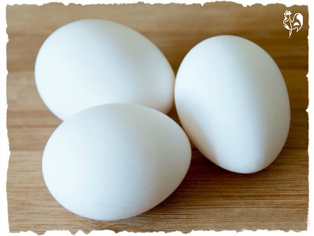 Tři bílá vejce leghornů.