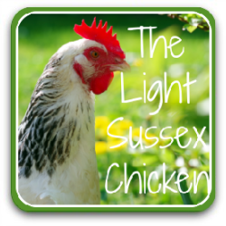 The Light Sussex chicken breed - link.