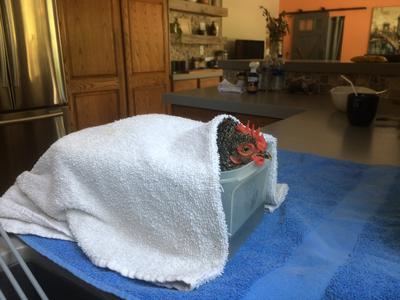 Epsom salt bath treatment