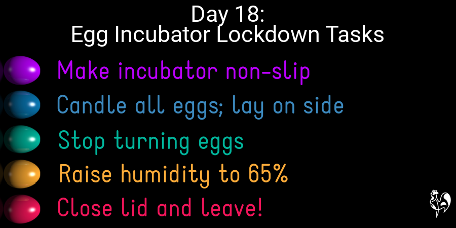 Incubator lockdown to do list Text on black background: 5 steps to lockdown. Flooring; candling; turning; humidity; closure.