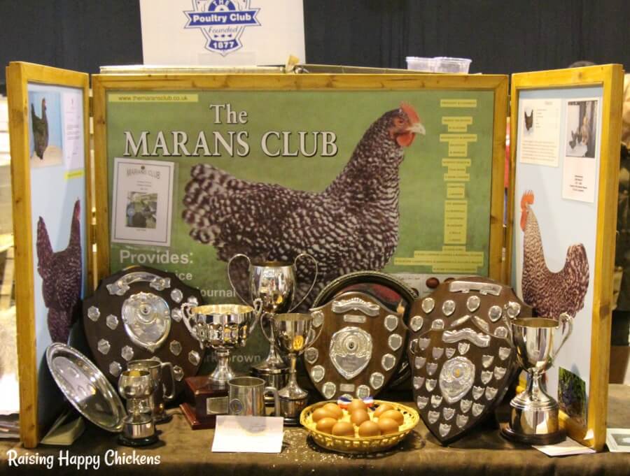 The UK's Marans breed club show stand, displaying awards.