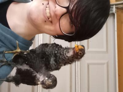 They loved to hop up on my shouders, even when they got too big to do so comfortably.