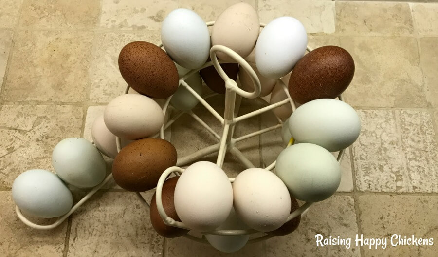 The Egg Skelter - an easy, efficient way to store your eggs!