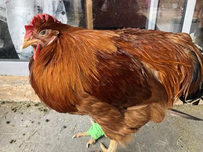 The morning of his last day