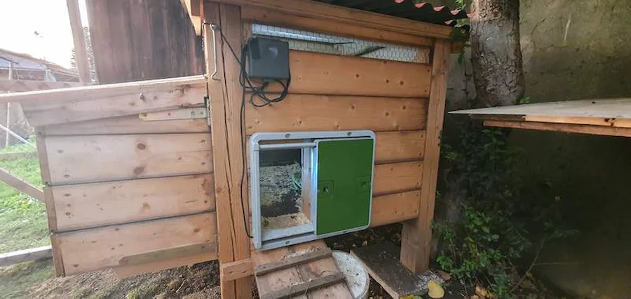 Omlet's automatic pop door on a wooden coop.