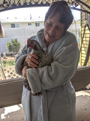 Nana's first chicken friend, Bunty