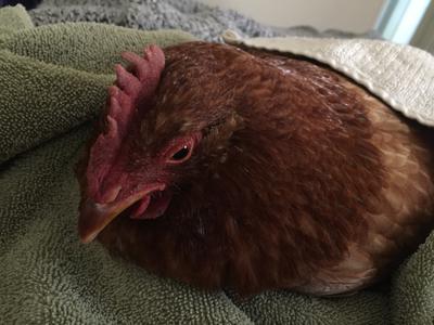 This is after she was already sick