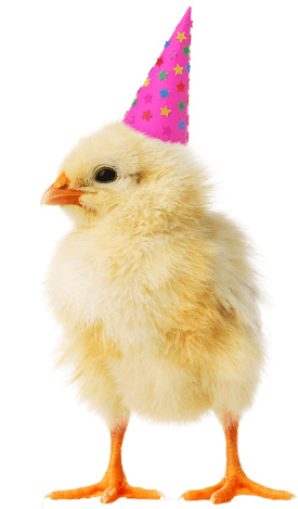 Baby chick in party hat.