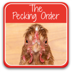 The pecking order: link to article.